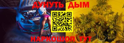 прущие грибы Волжск