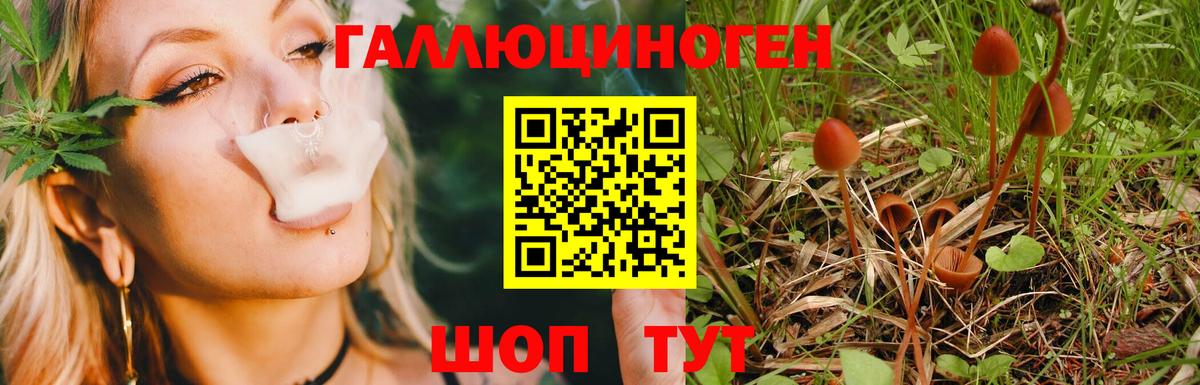 Галлюциногенные грибы мицелий Артём