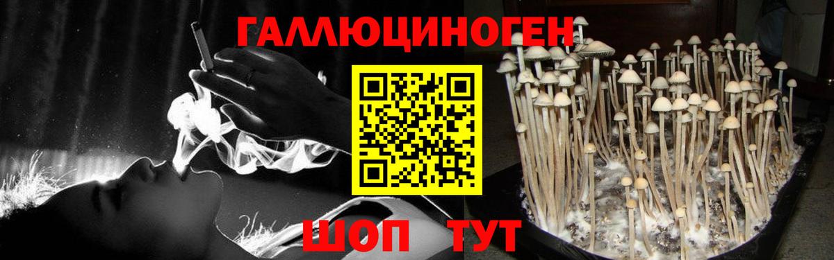 Артём  Галлюциногенные грибы Psilocybine cubensis  Вход с VPN  Галлюциногенные грибы MAGIC MUSHROOMS 